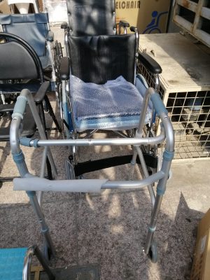 حجلة كبار